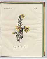  no thumbnail available