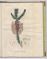  no thumbnail available