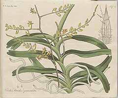  no thumbnail available