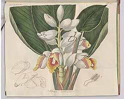  no thumbnail available