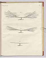  no thumbnail available