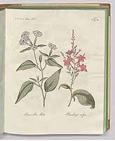  no thumbnail available