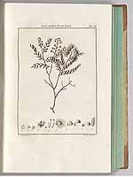  no thumbnail available