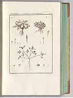  no thumbnail available