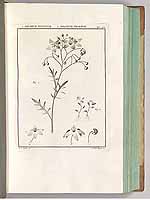  no thumbnail available