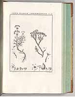  no thumbnail available