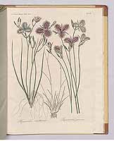  no thumbnail available