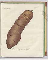  no thumbnail available