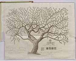  no thumbnail available