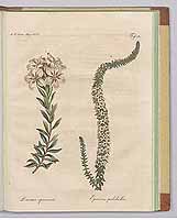  no thumbnail available