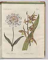  no thumbnail available