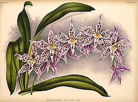  no thumbnail available