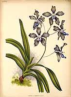  no thumbnail available