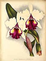  no thumbnail available