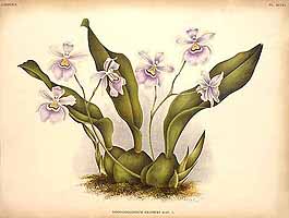  no thumbnail available