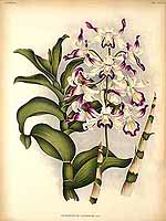  no thumbnail available