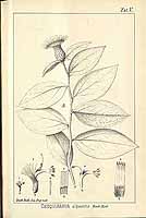  no thumbnail available