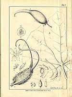  no thumbnail available