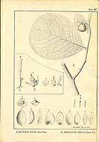  no thumbnail available