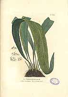  no thumbnail available