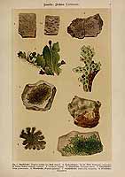  no thumbnail available