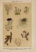  no thumbnail available