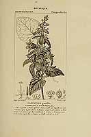  no thumbnail available