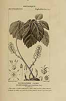  no thumbnail available