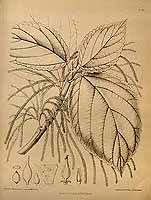  no thumbnail available