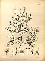  no thumbnail available