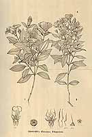  no thumbnail available