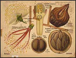  no thumbnail available