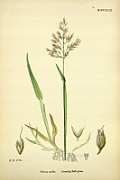  no thumbnail available