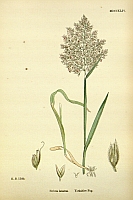  no thumbnail available