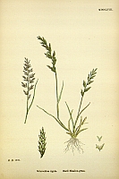  no thumbnail available