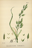  no thumbnail available