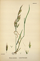  no thumbnail available