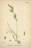  no thumbnail available