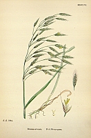  no thumbnail available