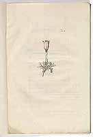  no thumbnail available