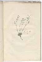  no thumbnail available