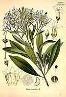  no thumbnail available