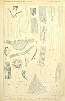  no thumbnail available