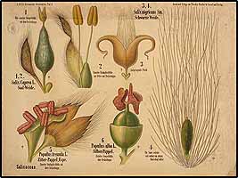  no thumbnail available