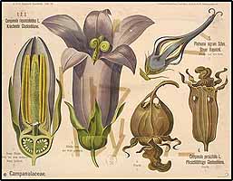  no thumbnail available