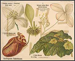  no thumbnail available