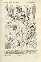  no thumbnail available