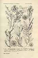  no thumbnail available