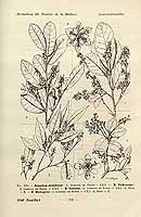  no thumbnail available