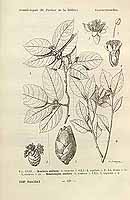  no thumbnail available